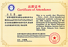 世界中医药学会联合会骨伤科专业委员会出席证书